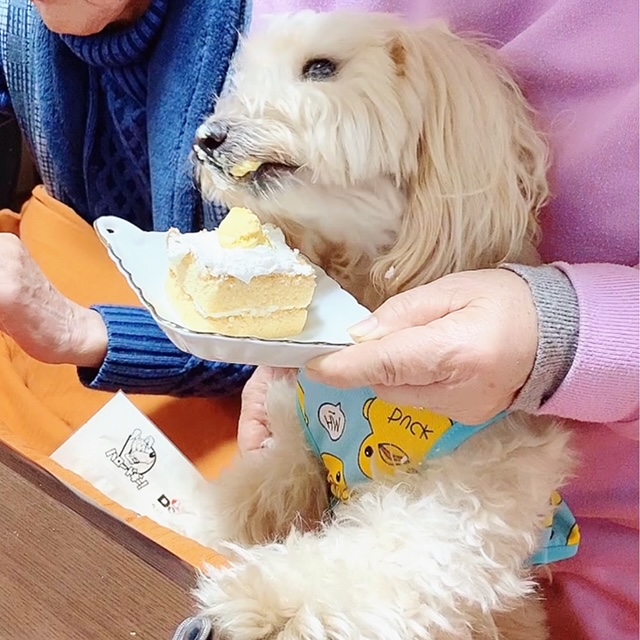 ケーキの味見をするとのまる