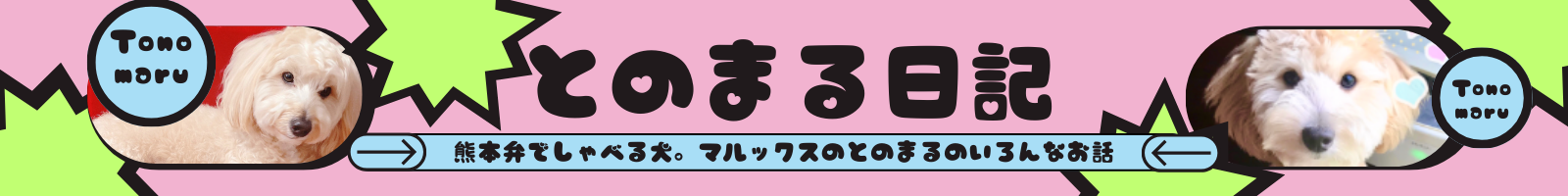 とのまる日記